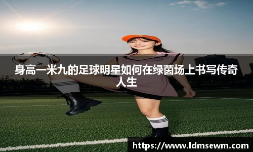 熊猫体育官方网站